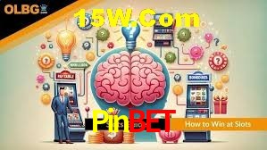 Statistics Pinbet
